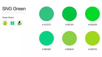 案例分析 社交網(wǎng)絡(luò)產(chǎn)品logo設(shè)計(jì)系統(tǒng)