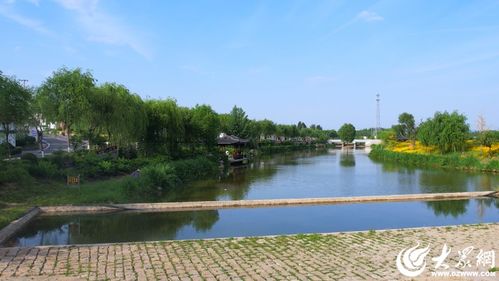 這里風景如畫丨鄒城釣魚臺村 村民在家門口吃上 旅游飯