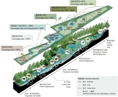 LAF | 前沿研究:AECOM圩田濕地生境修復(fù)案例--浙江鑒洋湖濕地公園首啟區(qū)